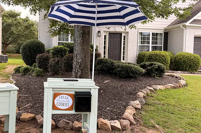 The stand set up in the front yard under its striped umbrella, beside a second mint-green cart.